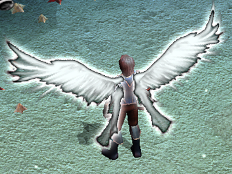 Level 1 Wings Guide